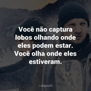 Você não captura lobos olhando onde eles podem estar. Você olha onde eles estiveram.