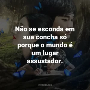 Não se esconda em sua concha só porque o mundo é um lugar assustador.