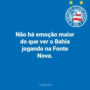 Não há emoção maior do que ver o Bahia jogando na Fonte Nova.