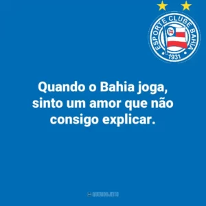 Quando o Bahia joga, sinto um amor que não consigo explicar.