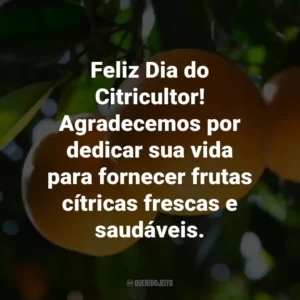 Feliz Dia do Citricultor! Agradecemos por dedicar sua vida para fornecer frutas cítricas frescas e saudáveis.