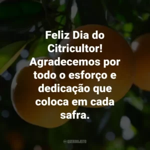 Feliz Dia do Citricultor! Agradecemos por todo o esforço e dedicação que coloca em cada safra.