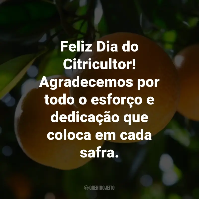 Frases para o Dia do Citricultor: Feliz Dia do Citricultor! Agradecemos por todo o esforço e dedicação que coloca em cada safra.