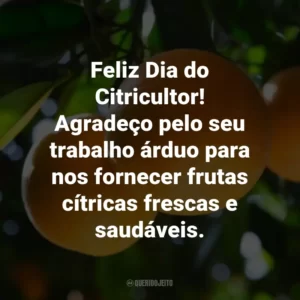 Feliz Dia do Citricultor! Agradeço pelo seu trabalho árduo para nos fornecer frutas cítricas frescas e saudáveis.