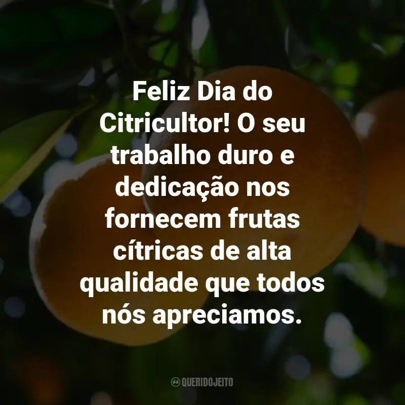 Frases para o Dia do Citricultor: Feliz Dia do Citricultor! O seu trabalho duro e dedicação nos fornecem frutas cítricas de alta qualidade que todos nós apreciamos.