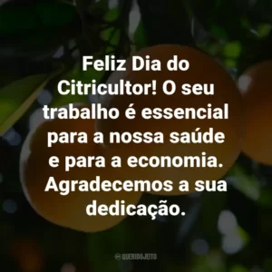Feliz Dia do Citricultor! O seu trabalho é essencial para a nossa saúde e para a economia. Agradecemos a sua dedicação.