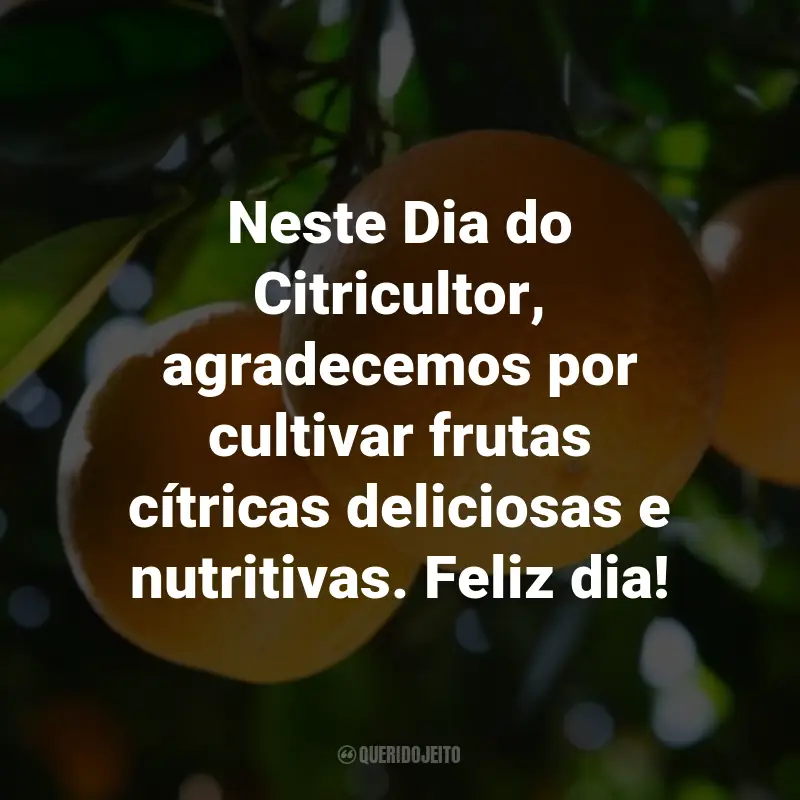 Frases para o Dia do Citricultor: Neste Dia do Citricultor, agradecemos por cultivar frutas cítricas deliciosas e nutritivas. Feliz dia!