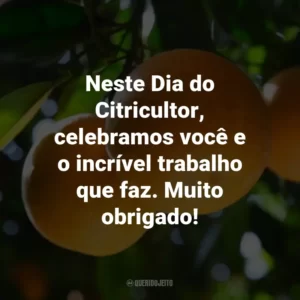 Neste Dia do Citricultor, celebramos você e o incrível trabalho que faz. Muito obrigado!