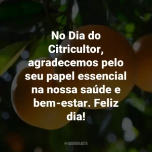 No Dia do Citricultor, agradecemos pelo seu papel essencial na nossa saúde e bem-estar. Feliz dia!