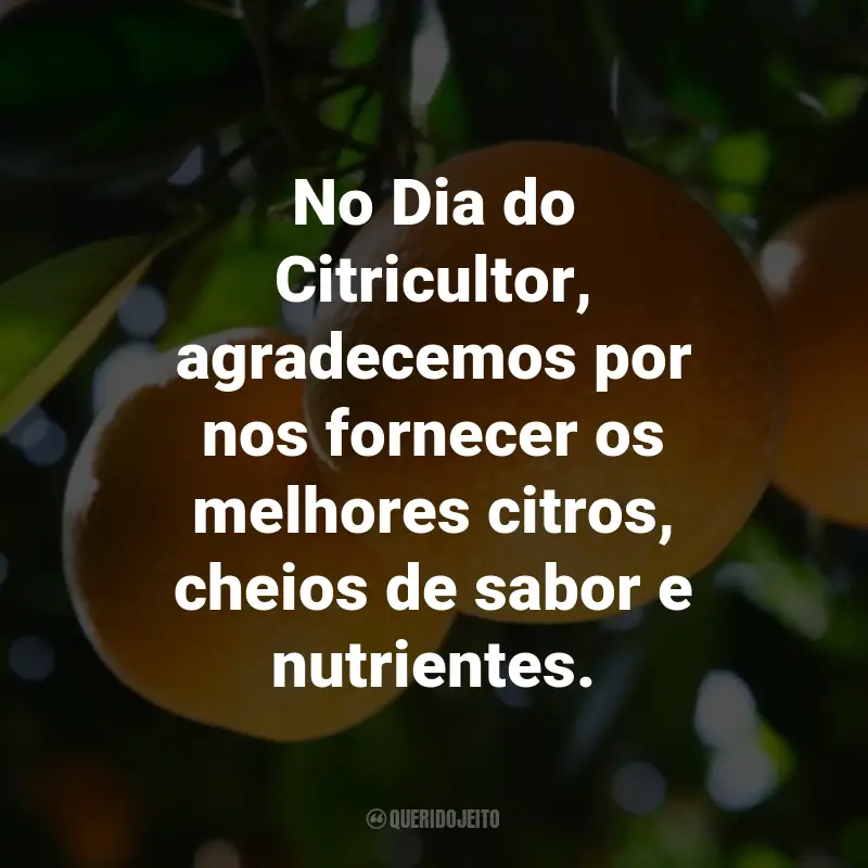 Frases para o Dia do Citricultor: No Dia do Citricultor, agradecemos por nos fornecer os melhores citros, cheios de sabor e nutrientes.