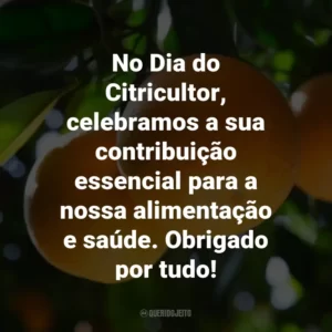 No Dia do Citricultor, celebramos a sua contribuição essencial para a nossa alimentação e saúde. Obrigado por tudo!