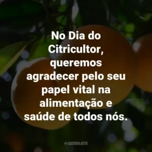 No Dia do Citricultor, queremos agradecer pelo seu papel vital na alimentação e saúde de todos nós.