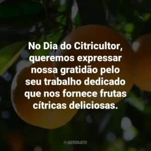 No Dia do Citricultor, queremos expressar nossa gratidão pelo seu trabalho dedicado que nos fornece frutas cítricas deliciosas.