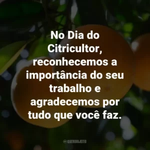 No Dia do Citricultor, reconhecemos a importância do seu trabalho e agradecemos por tudo que você faz.
