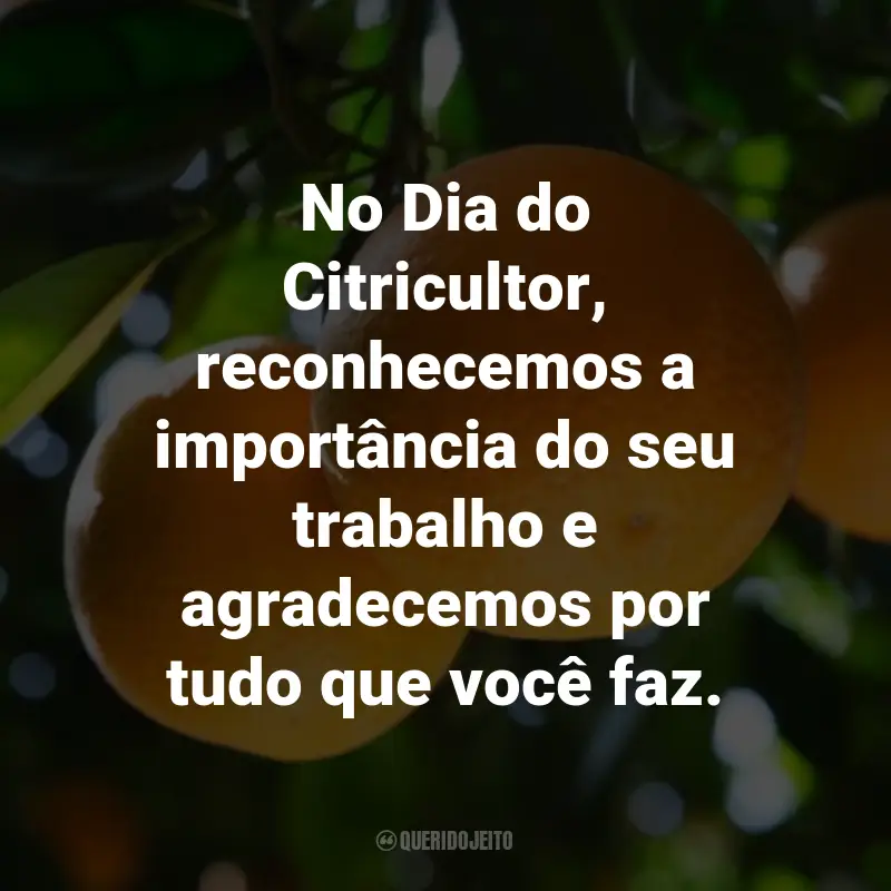 Frases para o Dia do Citricultor: No Dia do Citricultor, reconhecemos a importância do seu trabalho e agradecemos por tudo que você faz.