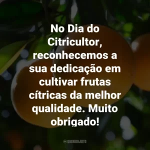 No Dia do Citricultor, reconhecemos a sua dedicação em cultivar frutas cítricas da melhor qualidade. Muito obrigado!