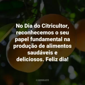 No Dia do Citricultor, reconhecemos o seu papel fundamental na produção de alimentos saudáveis e deliciosos. Feliz dia!