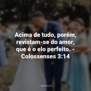 Acima de tudo, porém, revistam-se do amor, que é o elo perfeito. – Colossenses 3:14