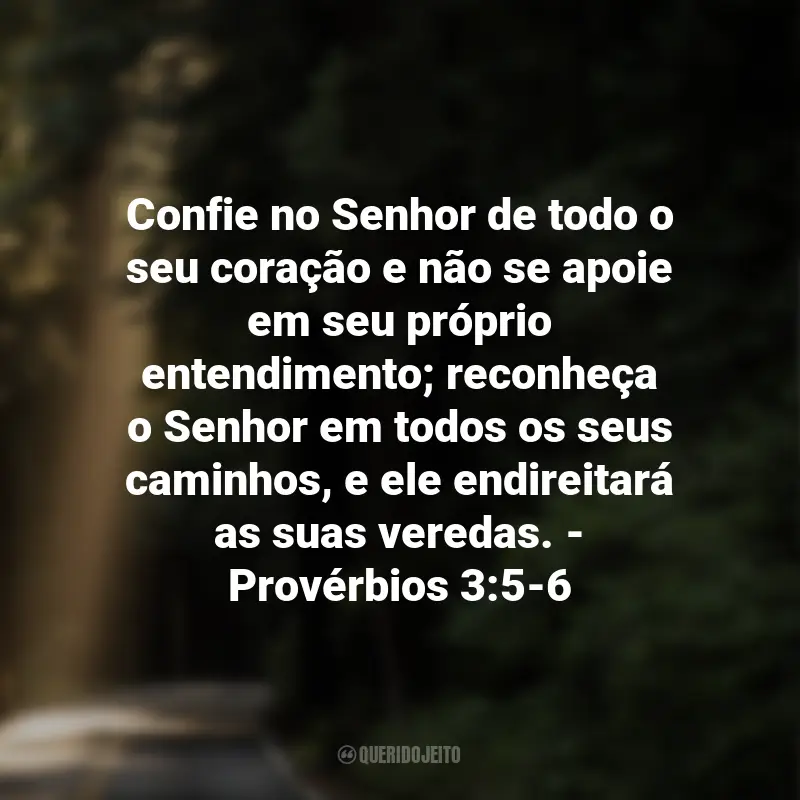 Frases de Deus sobre Esperança: Confie no Senhor de todo o seu coração e não se apoie em seu próprio entendimento; reconheça o Senhor em todos os seus caminhos, e ele endireitará as suas veredas. - Provérbios 3:5-6