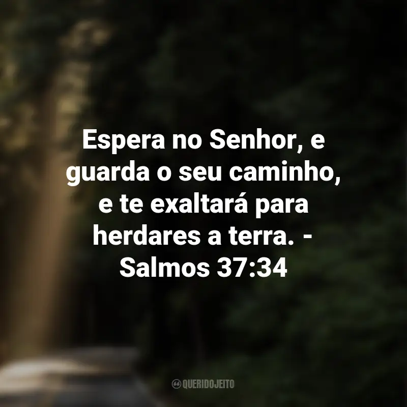 Frases de Deus sobre Esperança: Espera no Senhor, e guarda o seu caminho, e te exaltará para herdares a terra. - Salmos 37:34