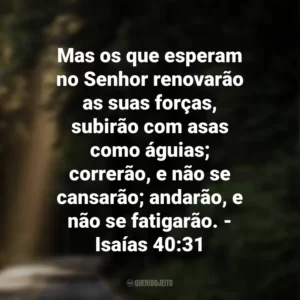 Mas os que esperam no Senhor renovarão as suas forças, subirão com asas como águias; correrão, e não se cansarão; andarão, e não se fatigarão. – Isaías 40:31