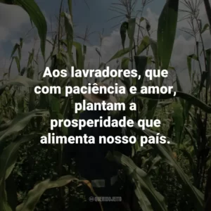 Aos lavradores, que com paciência e amor, plantam a prosperidade que alimenta nosso país.