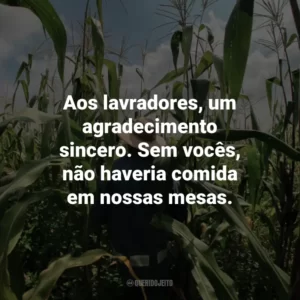 Aos lavradores, um agradecimento sincero. Sem vocês, não haveria comida em nossas mesas.