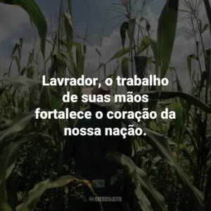 Lavrador, o trabalho de suas mãos fortalece o coração da nossa nação.