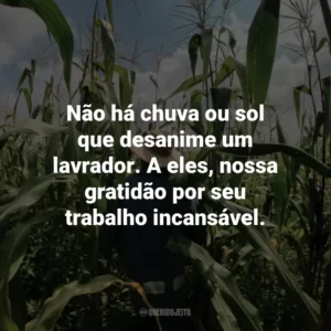 Não há chuva ou sol que desanime um lavrador. A eles, nossa gratidão por seu trabalho incansável.