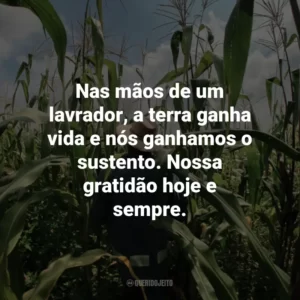 Nas mãos de um lavrador, a terra ganha vida e nós ganhamos o sustento. Nossa gratidão hoje e sempre.
