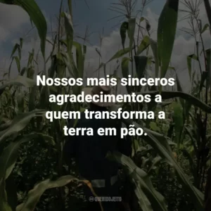 Nossos mais sinceros agradecimentos a quem transforma a terra em pão.