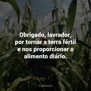 Obrigado, lavrador, por tornar a terra fértil e nos proporcionar o alimento diário.
