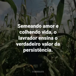 Semeando amor e colhendo vida, o lavrador ensina o verdadeiro valor da persistência.