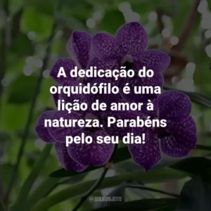 A dedicação do orquidófilo é uma lição de amor à natureza. Parabéns pelo seu dia!