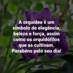 A orquídea é um símbolo de elegância, beleza e força, assim como os orquidófilos que as cultivam. Parabéns pelo seu dia!