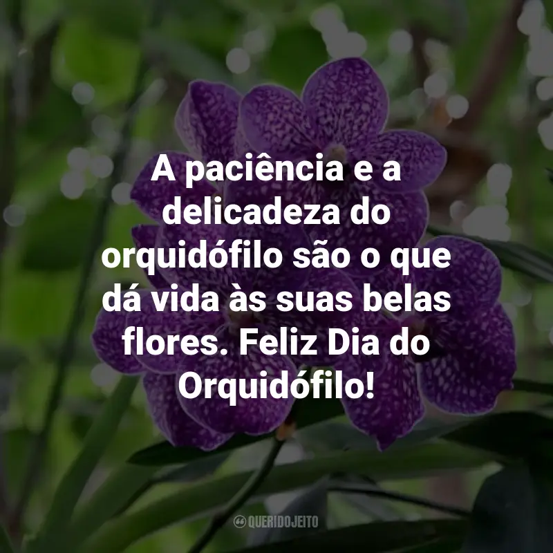 Frases para o Dia do Orquidófilo: A paciência e a delicadeza do orquidófilo são o que dá vida às suas belas flores. Feliz Dia do Orquidófilo!
