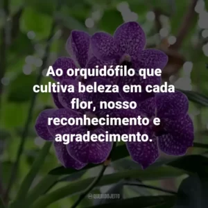 Ao orquidófilo que cultiva beleza em cada flor, nosso reconhecimento e agradecimento.