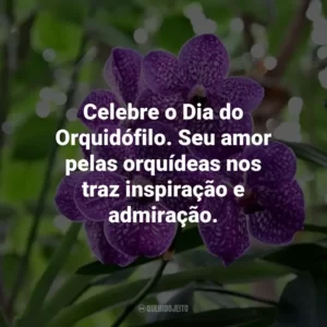 Celebre o Dia do Orquidófilo. Seu amor pelas orquídeas nos traz inspiração e admiração.