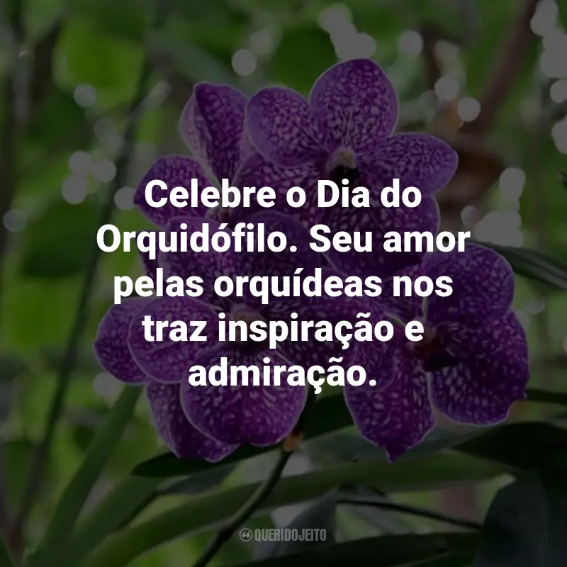 Frases para o Dia do Orquidófilo: Celebre o Dia do Orquidófilo. Seu amor pelas orquídeas nos traz inspiração e admiração.