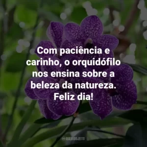 Com paciência e carinho, o orquidófilo nos ensina sobre a beleza da natureza. Feliz dia!