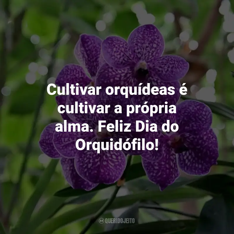 Frases para o Dia do Orquidófilo: Cultivar orquídeas é cultivar a própria alma. Feliz Dia do Orquidófilo!