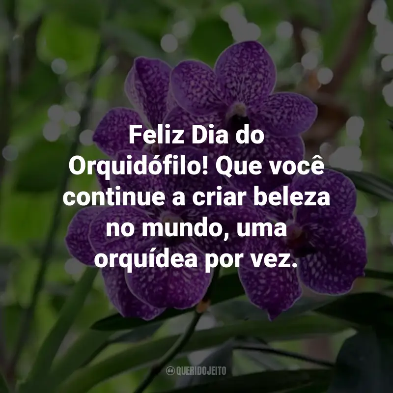 Frases para o Dia do Orquidófilo: Feliz Dia do Orquidófilo! Que você continue a criar beleza no mundo, uma orquídea por vez.