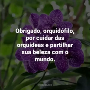 Obrigado, orquidófilo, por cuidar das orquídeas e partilhar sua beleza com o mundo.