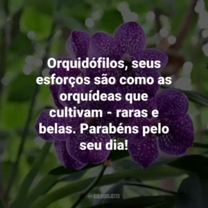 Orquidófilos, seus esforços são como as orquídeas que cultivam – raras e belas. Parabéns pelo seu dia!