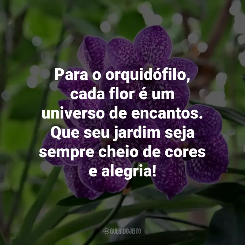 Frases para o Dia do Orquidófilo: Para o orquidófilo, cada flor é um universo de encantos. Que seu jardim seja sempre cheio de cores e alegria!