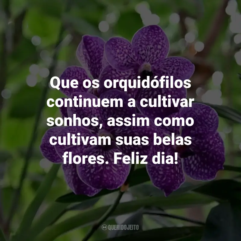 Frases para o Dia do Orquidófilo: Que os orquidófilos continuem a cultivar sonhos, assim como cultivam suas belas flores. Feliz dia!