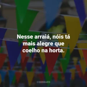 Nesse arraiá, nóis tá mais alegre que coelho na horta.