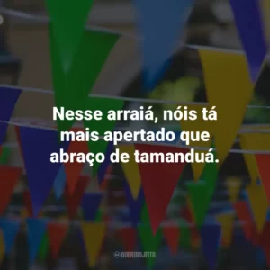 Nesse arraiá, nóis tá mais apertado que abraço de tamanduá.