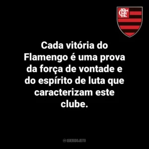 Cada vitória do Flamengo é uma prova da força de vontade e do espírito de luta que caracterizam este clube.