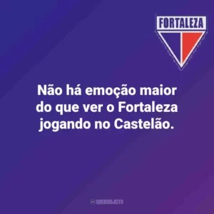 Não há emoção maior do que ver o Fortaleza jogando no Castelão.